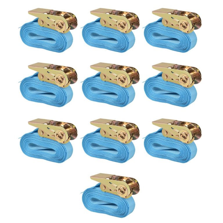 vidaXL Ratschen-Spanngurte 4 Stk. 0,8 Tonnen 6m×25mm Blau