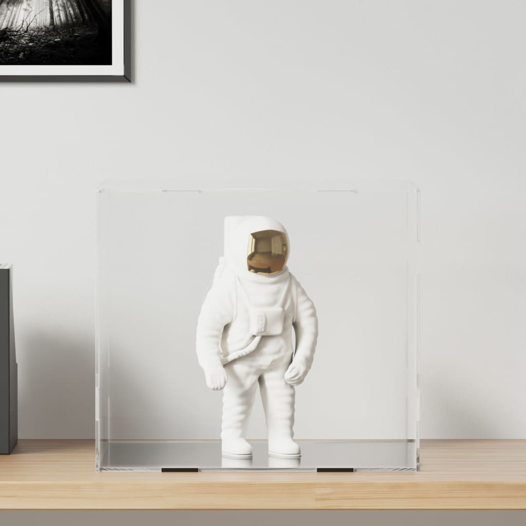 vidaXL Displaybox Transparent 14x14x22 cm Acryl