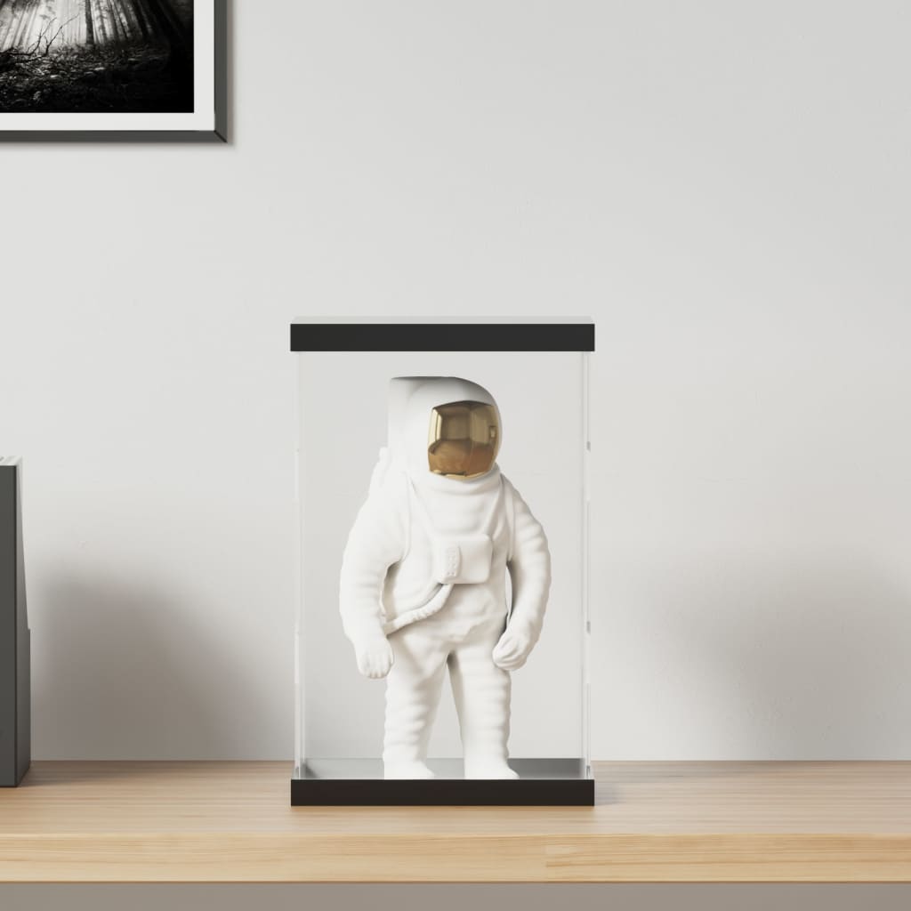 vidaXL Vitrine Transparent 14x14x22 cm Acryl