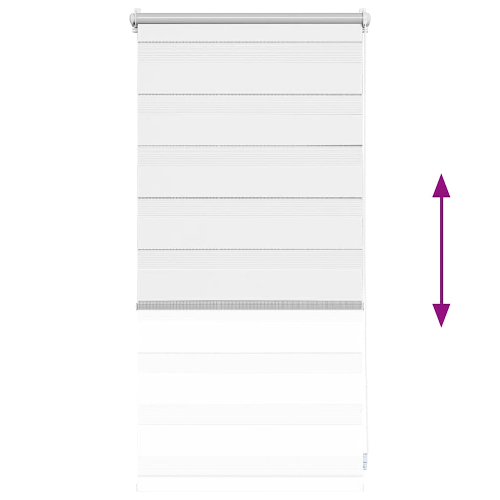 vidaXL Doppelrollo Seitenzug Duo 40 x 100 cm