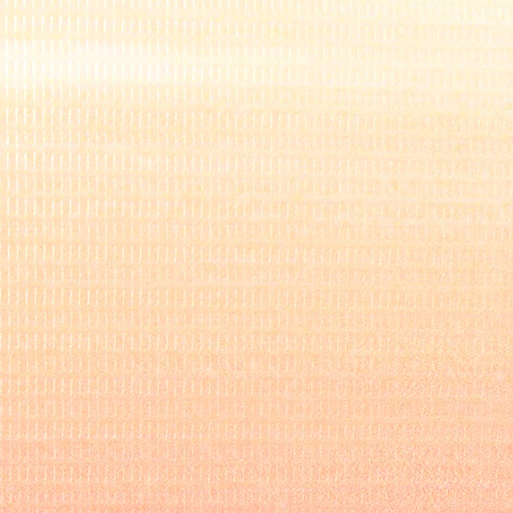 vidaXL Raumteiler klappbar 120 x 170 cm Paris bei Nacht