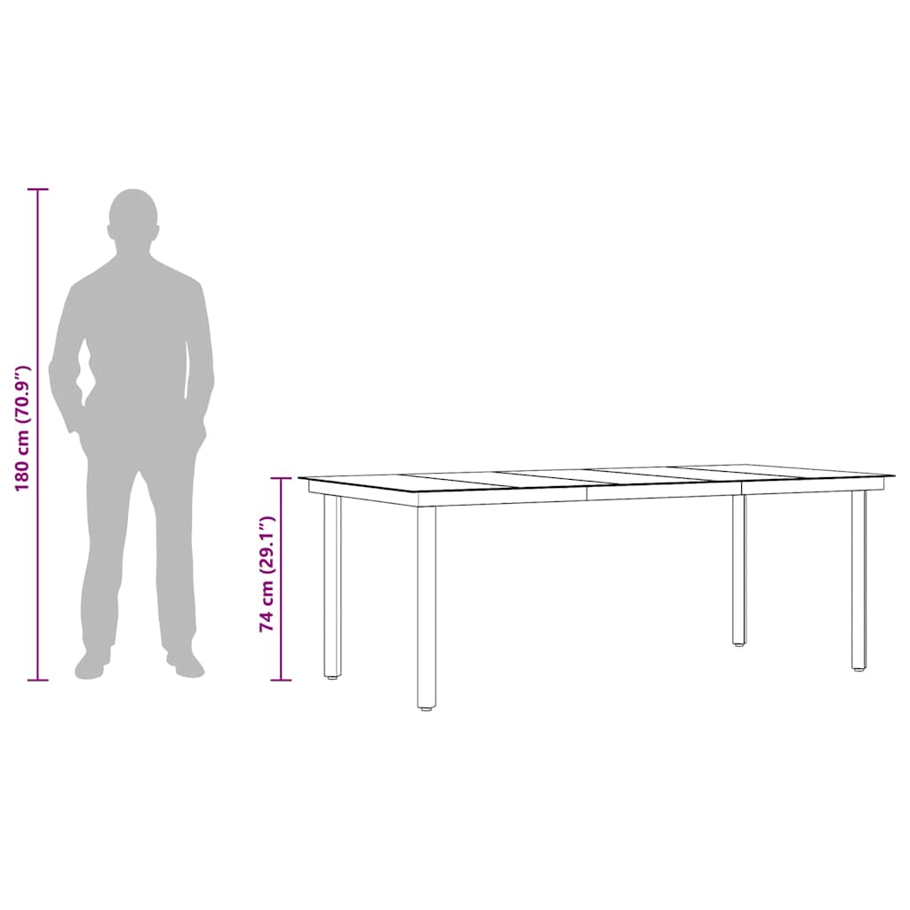 vidaXL Garten-Esstisch Schwarz 200x100x74 cm Stahl und Glas