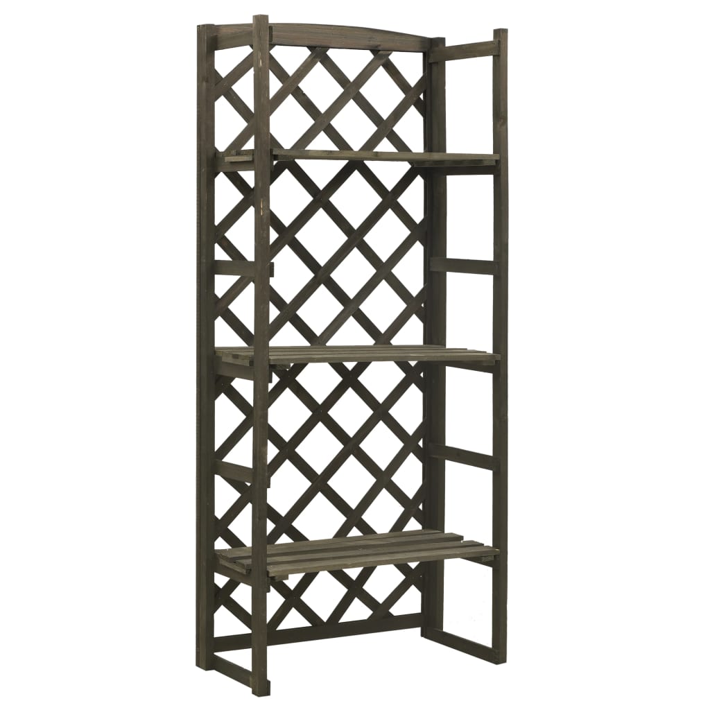 Regal-Rankgitter Orange 60x30x140 cm Massivholz Tanne