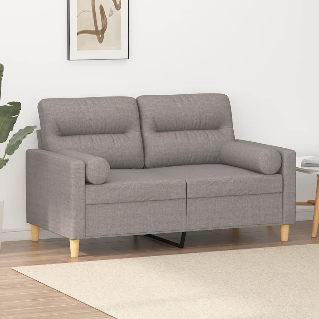 vidaXL 2-Sitzer-Sofa mit Zierkissen Hellgrau 120 cm Stoff