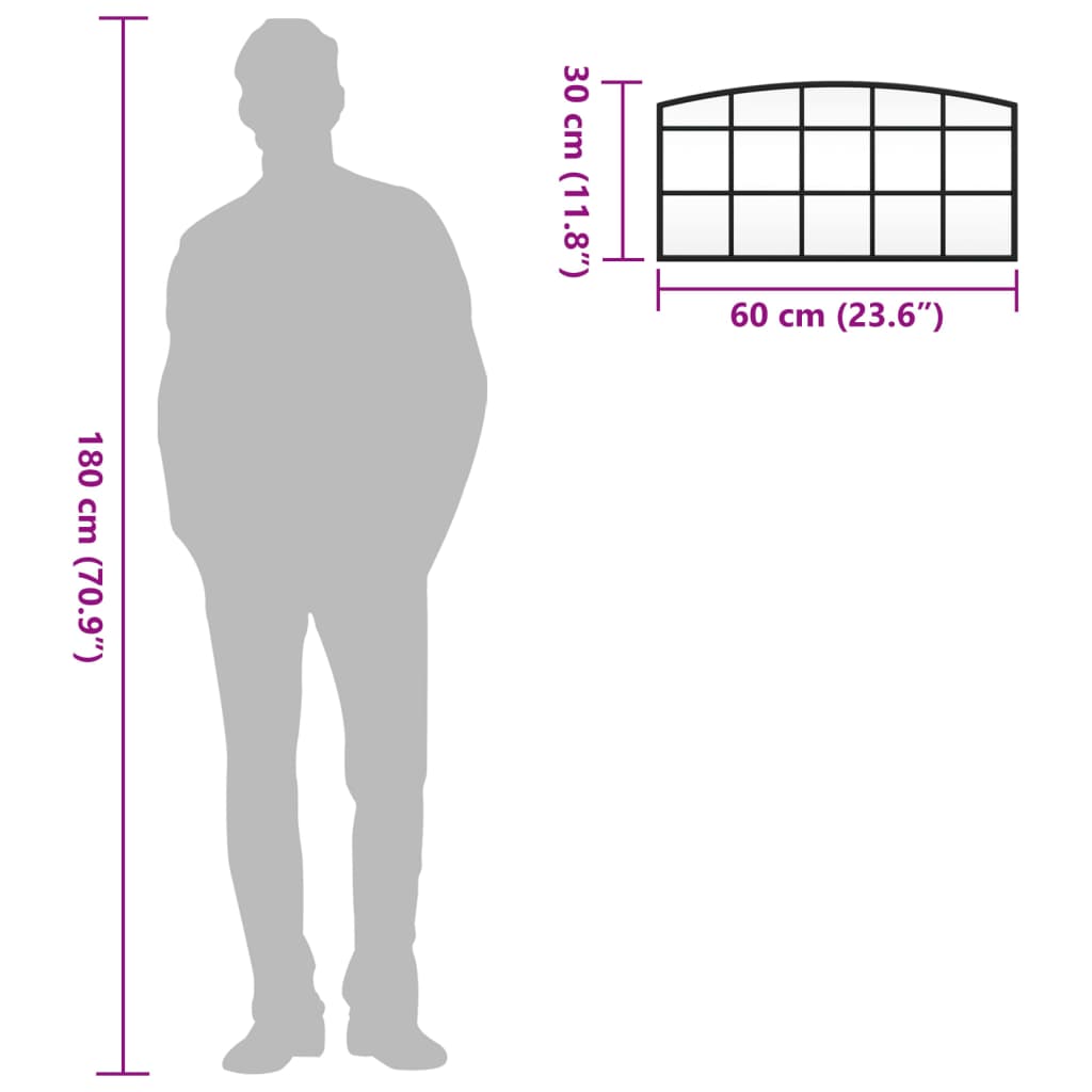 vidaXL Wandspiegel Schwarz 60x30 cm Gewölbt Eisen