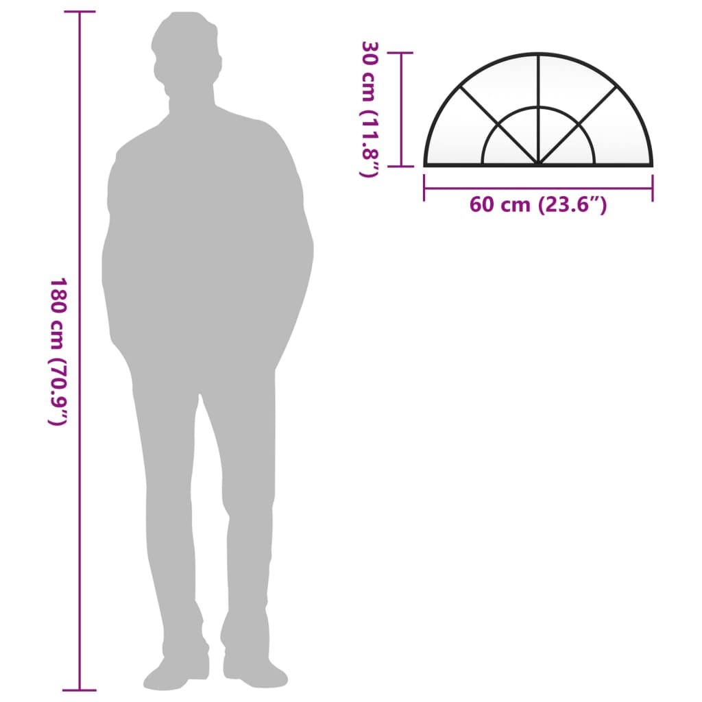 vidaXL Wandspiegel Schwarz 60x30 cm Gewölbt Eisen