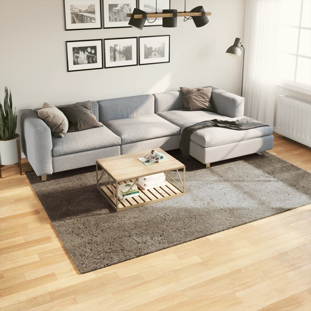 vidaXL Teppich ISTAN Hochflor Glänzend Anthrazit 100x200 cm