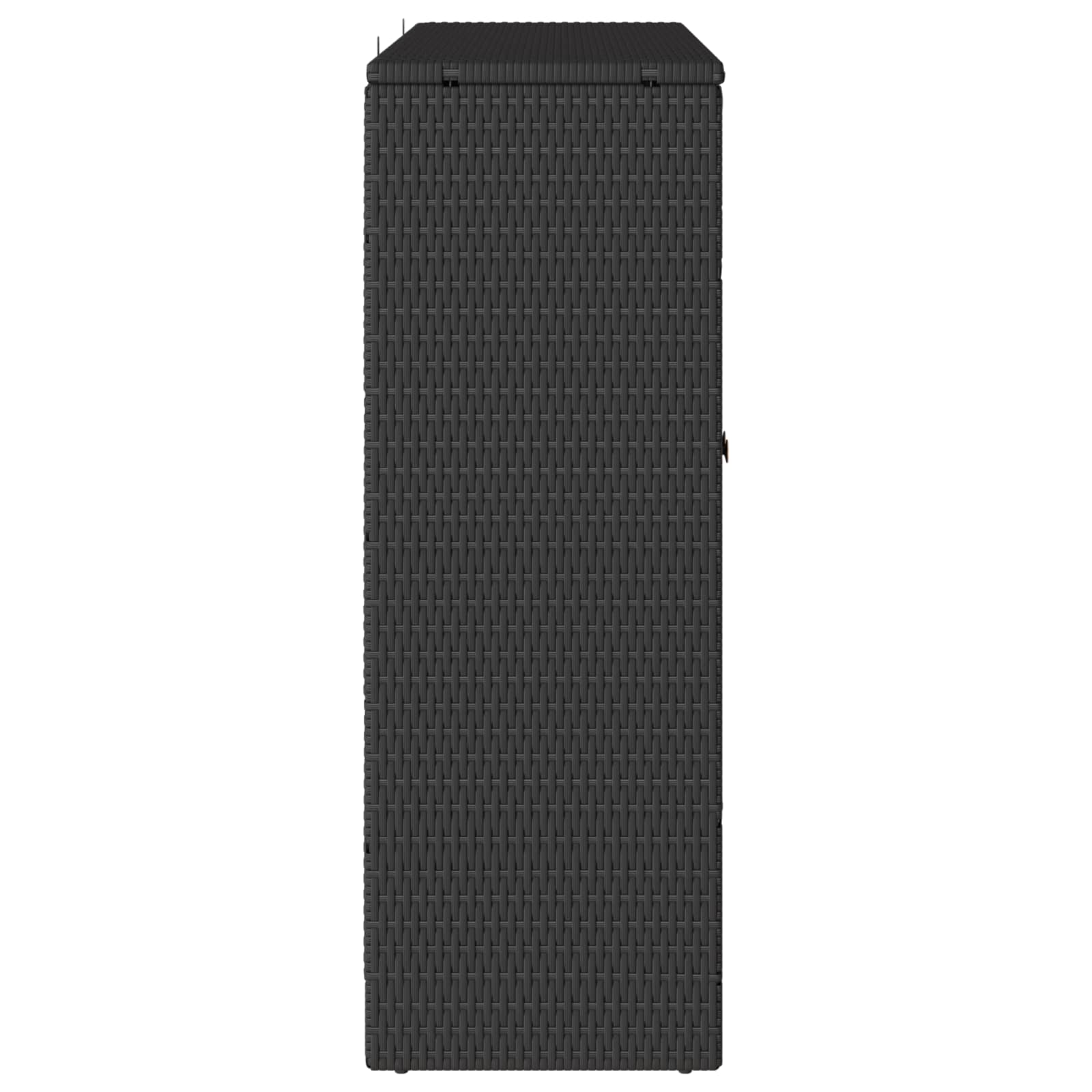 vidaXL Aufbewahrungsschrank mit Regal Schwarz 100 x 36 x 102 cm Rattan