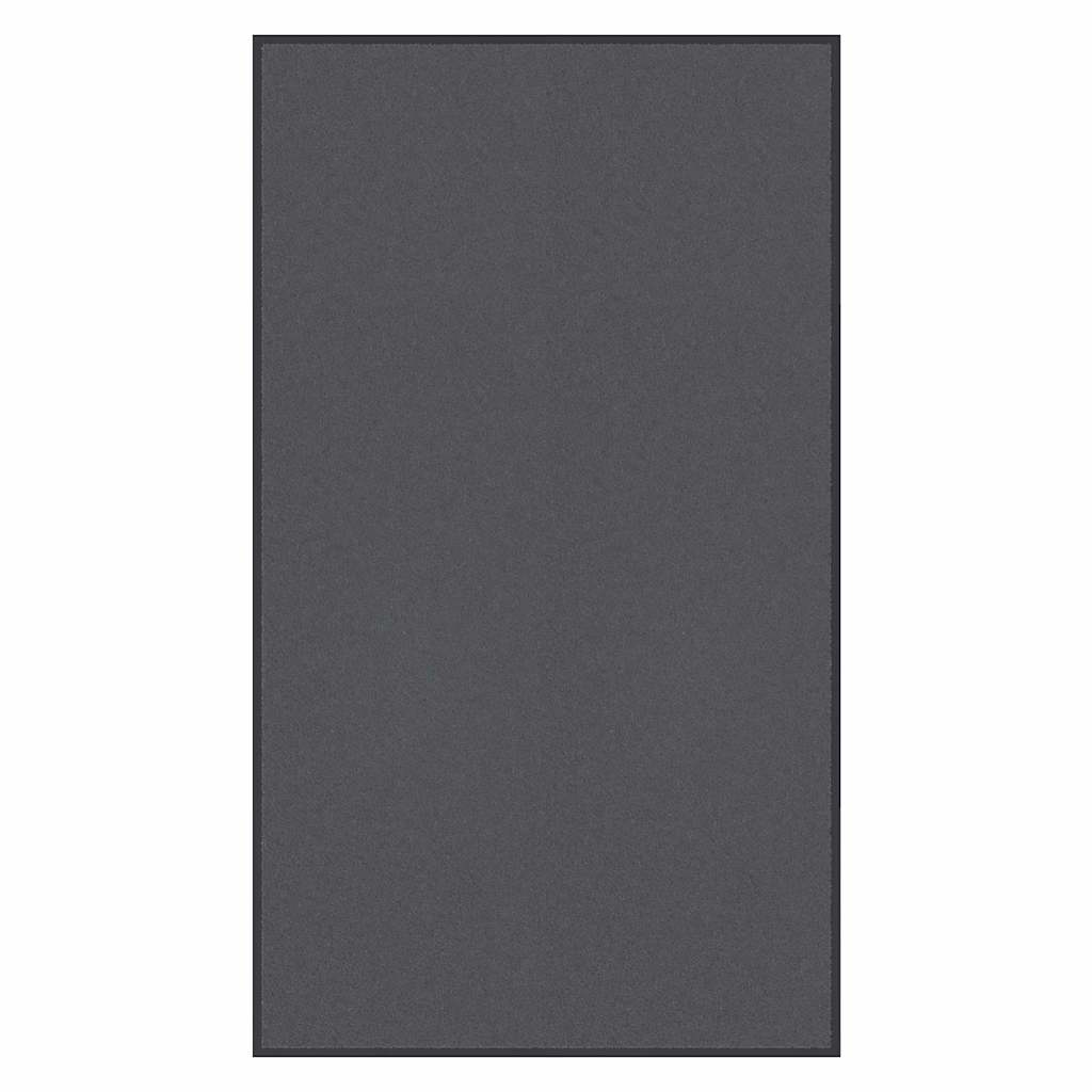 vidaXL Fußmatte Schwarz 40x60 cm