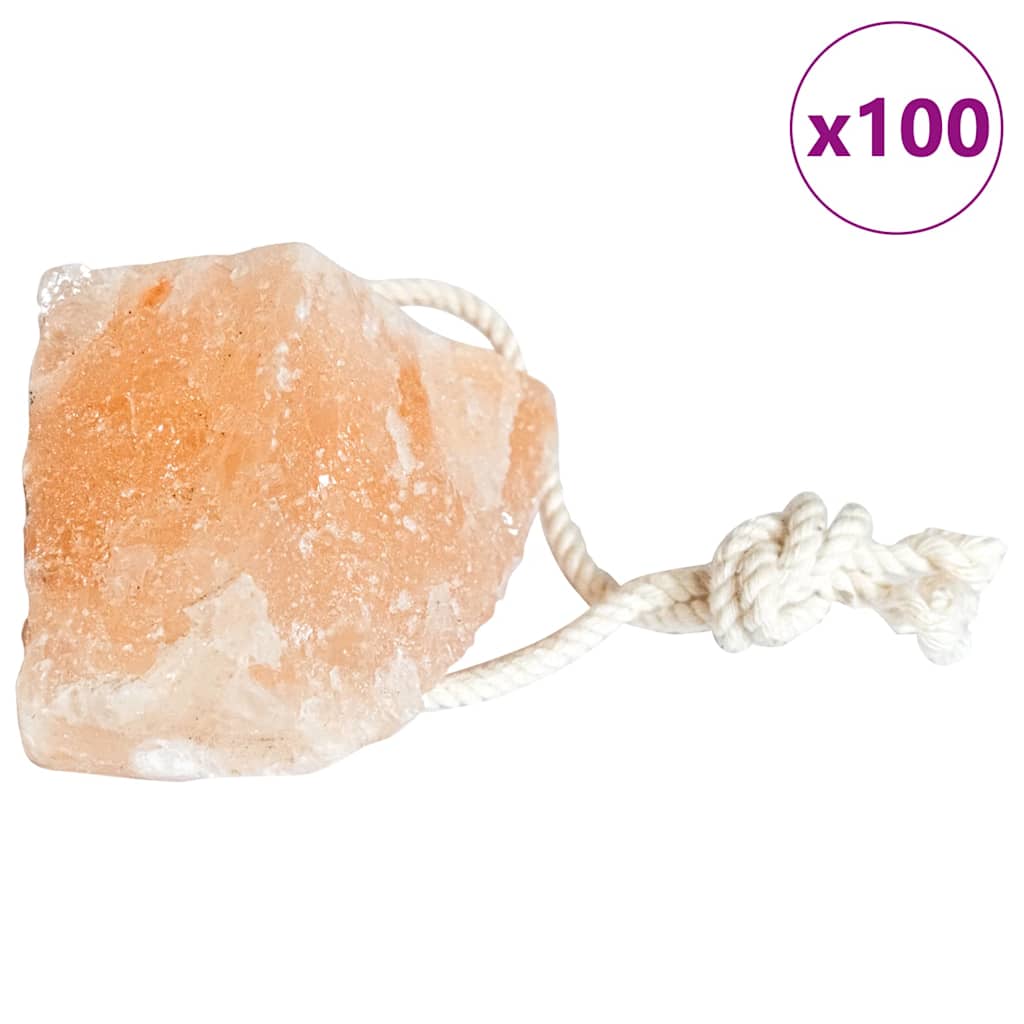 vidaXL Salzlecksteine Rosa Steinsalz