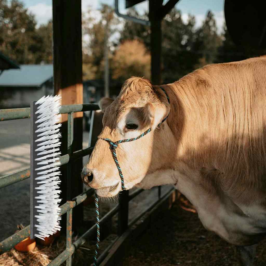 vidaXL Kühbürste Rot und Blau 20 x 9 x 50 cm Kunststoff und Stahl