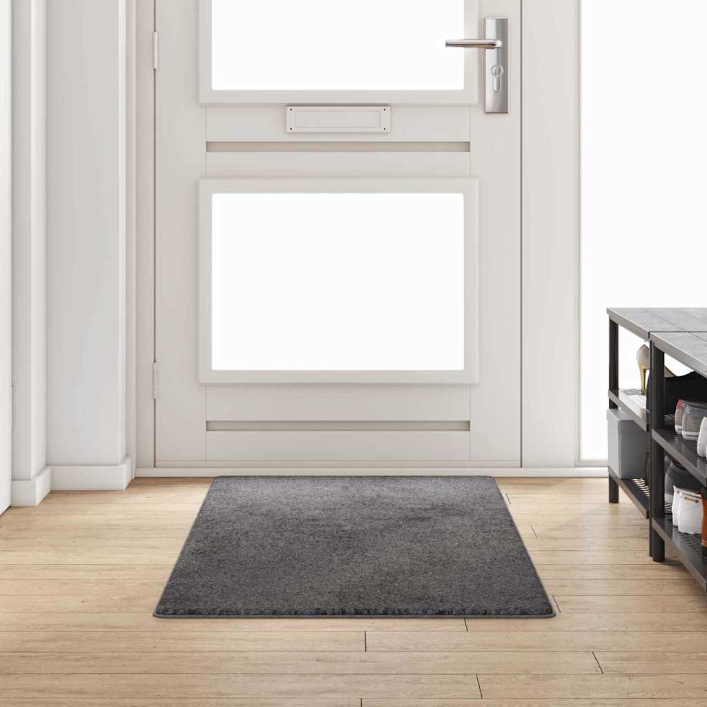 vidaXL Teppichläufer Grau 50 x 100 cm 100% Polypropylen Tuft