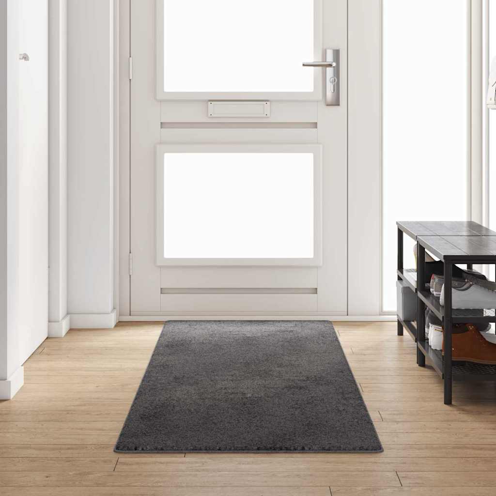 vidaXL Teppichläufer Grau 50 x 100 cm 100% Polypropylen Tuft