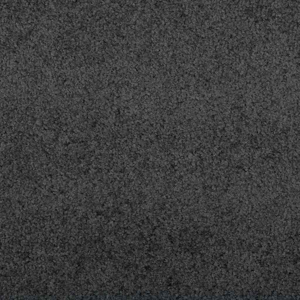 vidaXL Fußmatte Anthrazit 60 x 40 x 1,2 cm Teddystoff