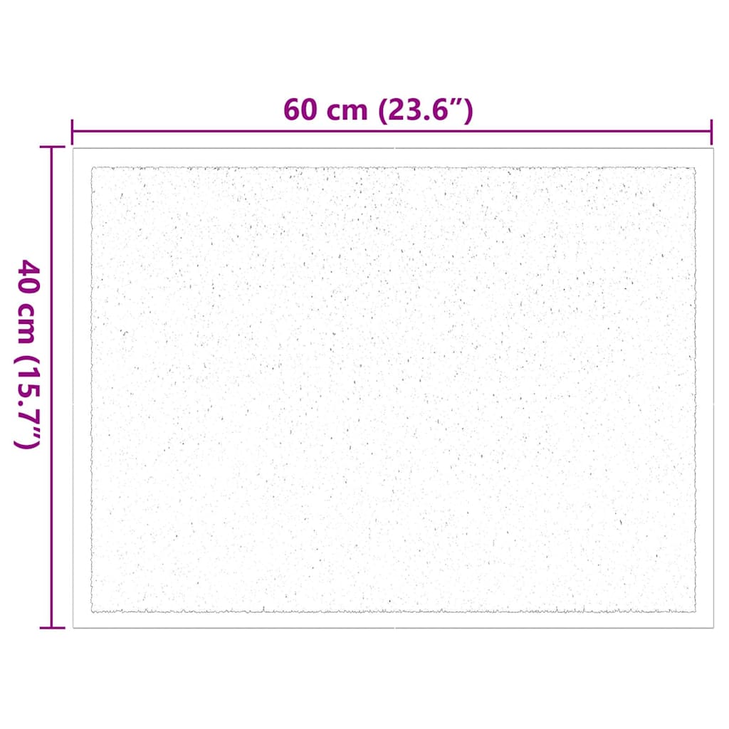 vidaXL Fußmatte Anthrazit 60 x 40 x 1,2 cm Teddystoff