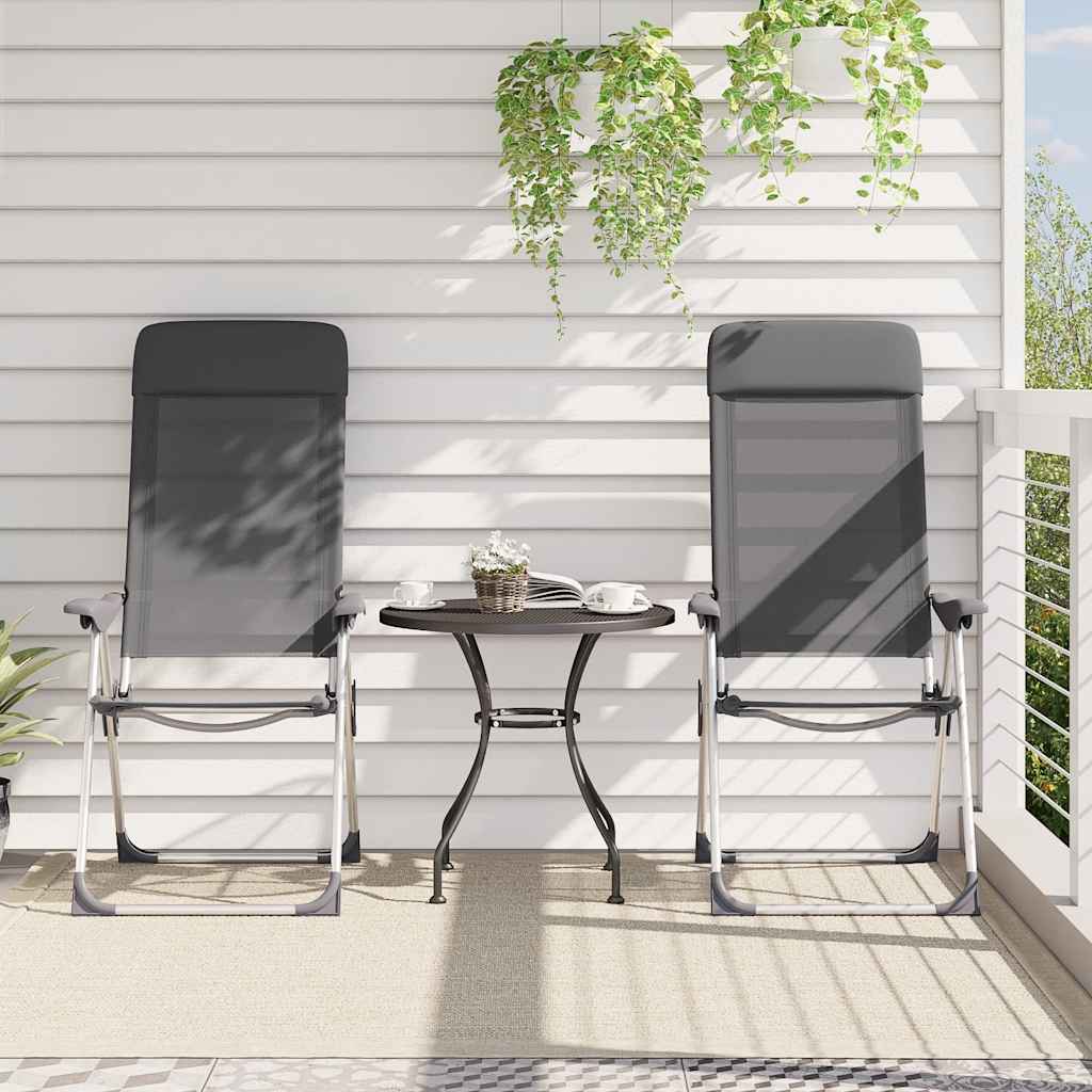 vidaXL Klappbare Campingstühle 2 Stk. Grau Aluminium