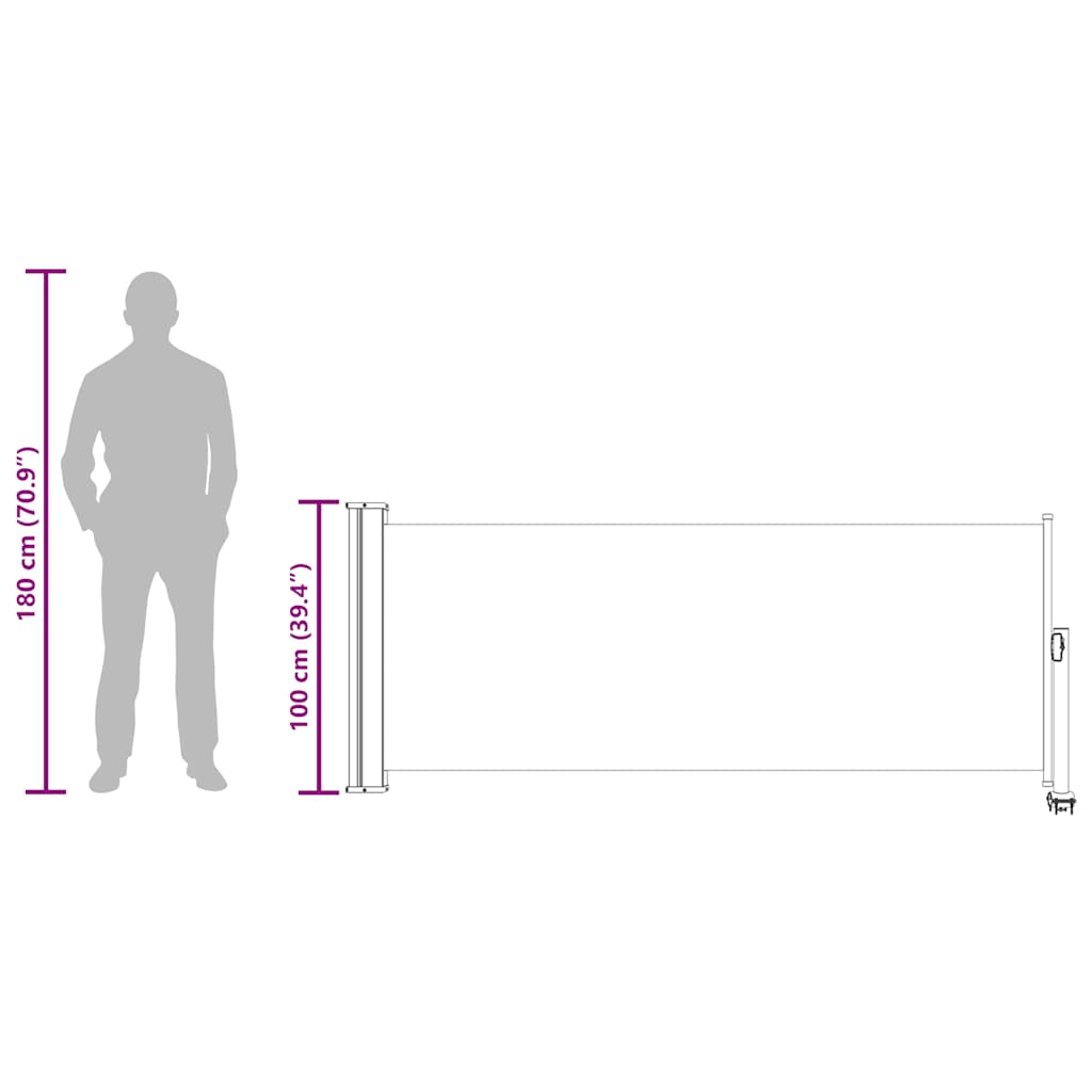 vidaXL Ausziehbare Seitenmarkise 100 x 300 cm Schwarz