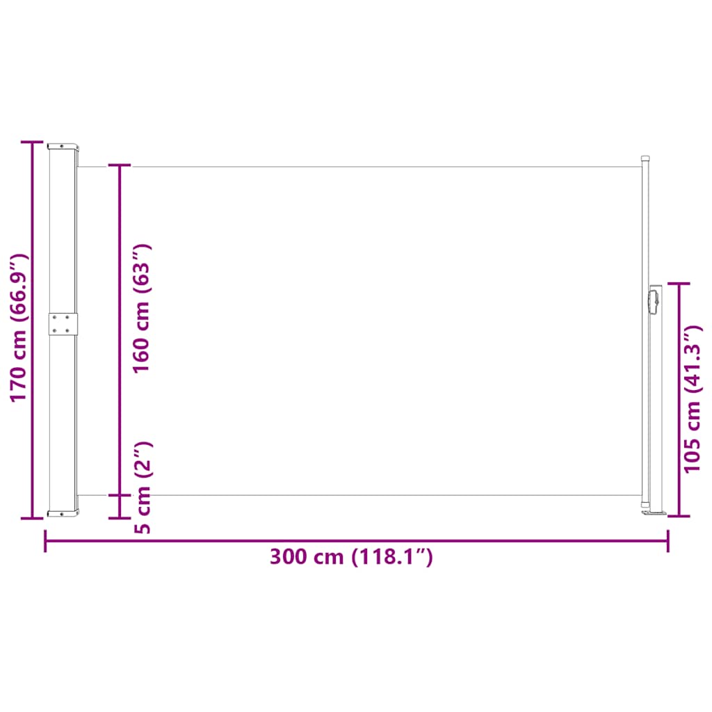 vidaXL Ausziehbare Seitenmarkise 170×300 cm Schwarz