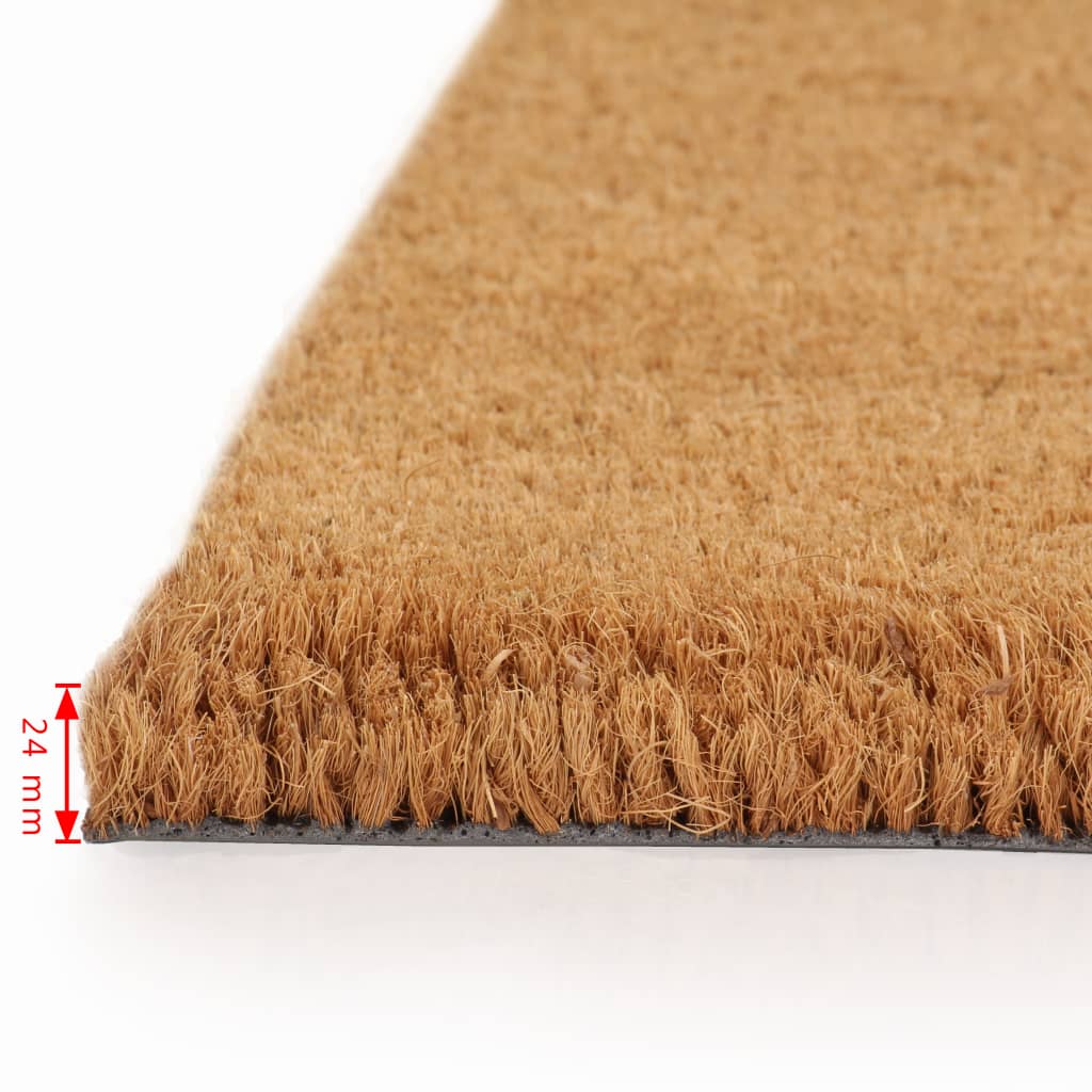 vidaXL Natürliche Fußmatten 2 Stk. Coir 24 mm 40x60 cm