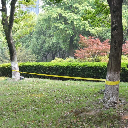 vidaXL Slackline 15 m x 50 mm 150 kg Grün