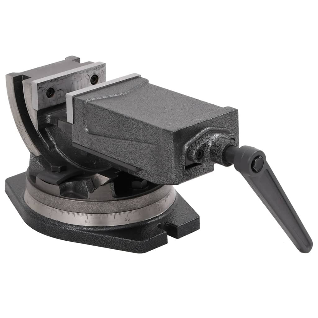 vidaXL 2-Achsen-Schraubstock Kippbar 100 mm