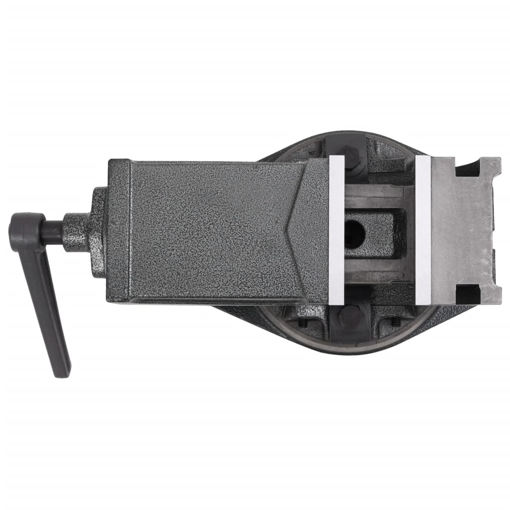 vidaXL 2-Achsen-Schraubstock Kippbar 100 mm