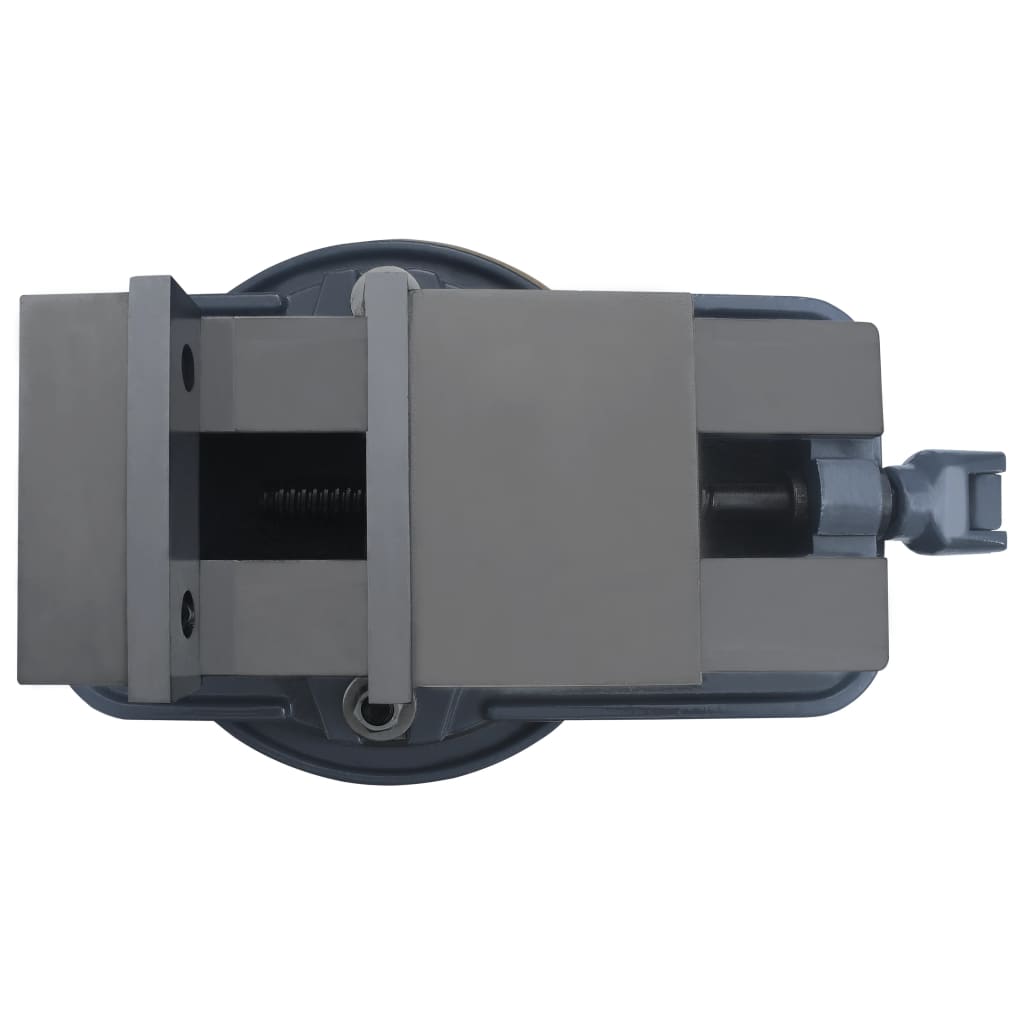 vidaXL Drehtisch-Schraubstock Gusseisen 160 mm