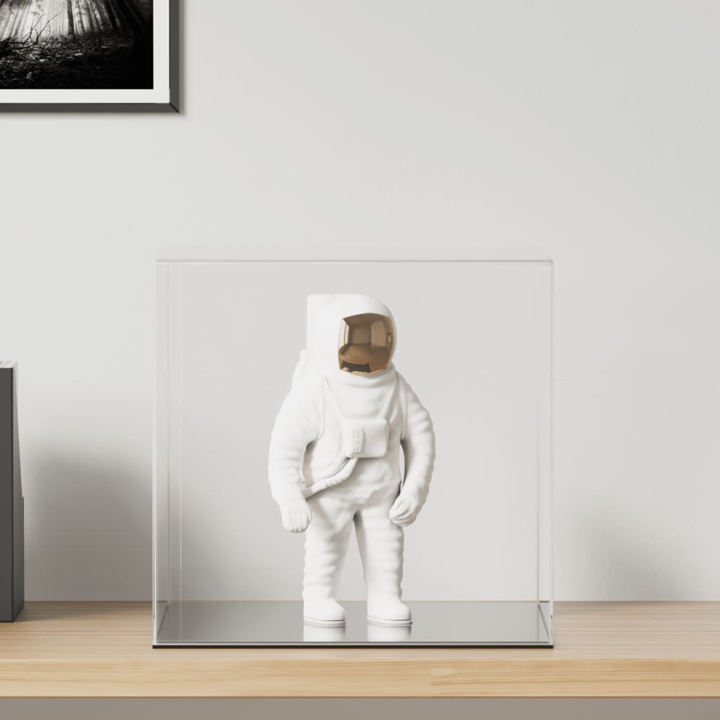 vidaXL Vitrine Transparent 14x14x22 cm Acryl