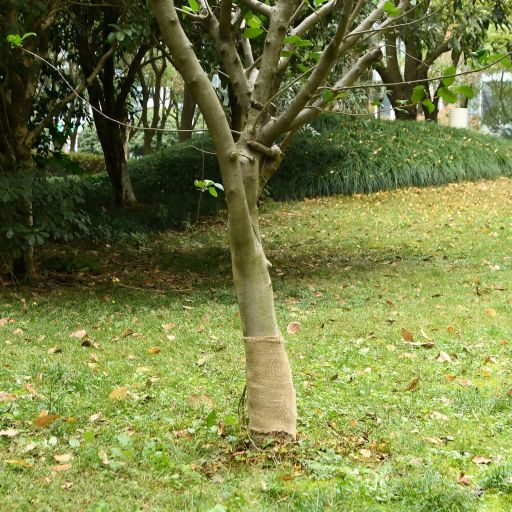 vidaXL Jutegewebe 0,25x5 m 100% Jute 200 g/m²