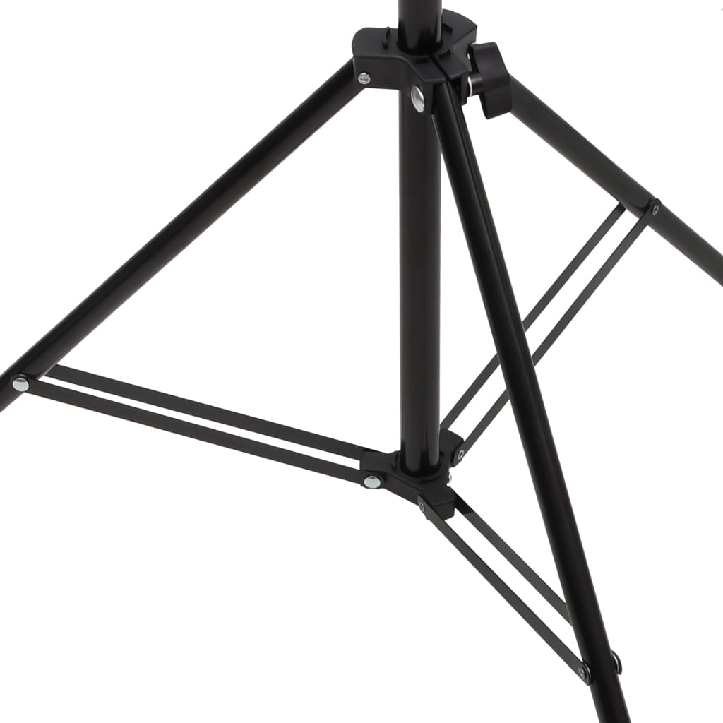 vidaXL Hintergrundständer T-Form Schwarz 91x60x(70-200) cm