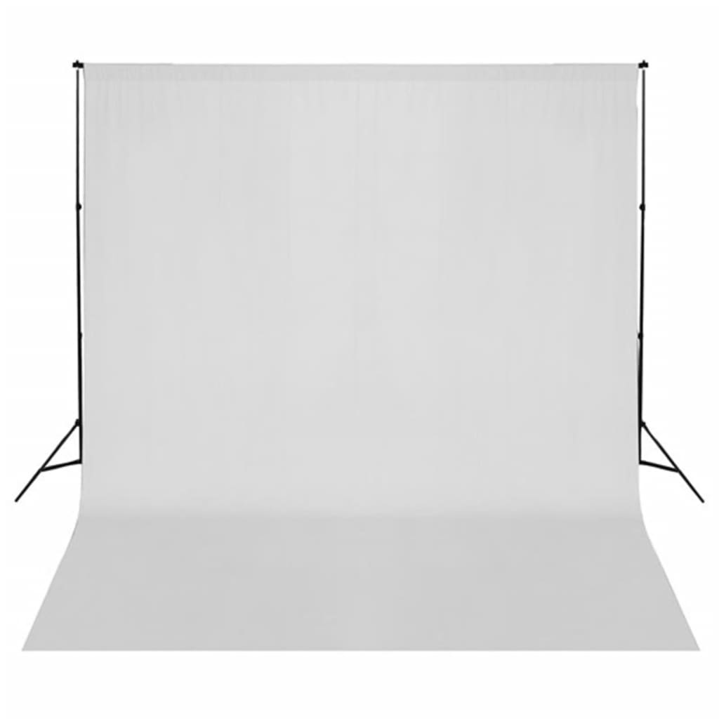 vidaXL Fotostudio-Set mit Leuchten, Hintergrund und Reflektor