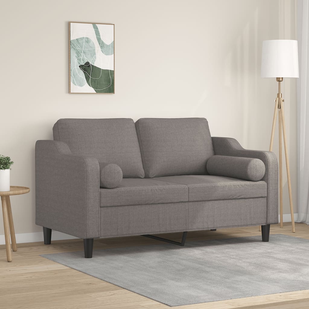 vidaXL 2-Sitzer-Sofa mit Zierkissen Hellgrau 120 cm Stoff