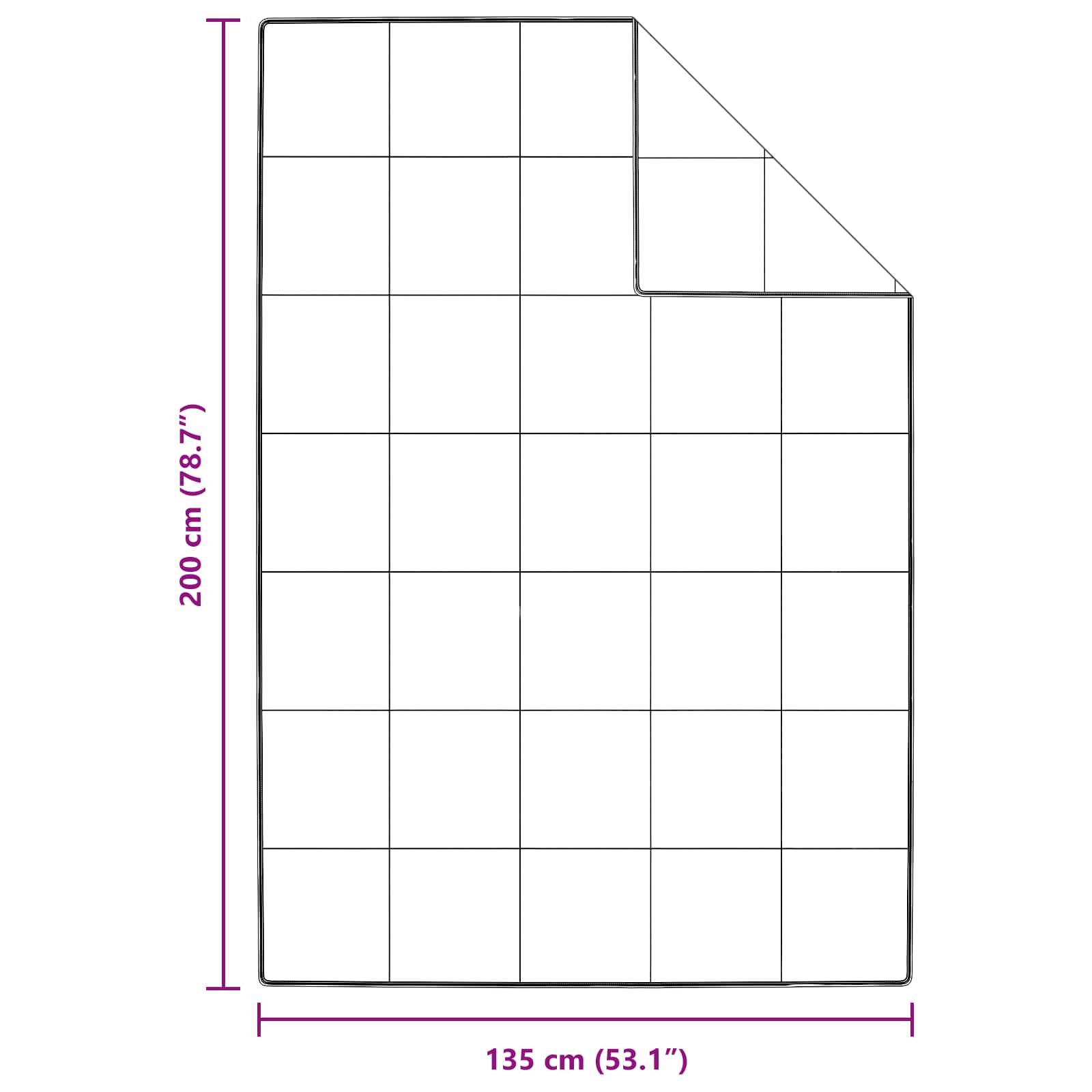 vidaXL Sommerdecke mit Kissen 2 pcs Weiß Down Feather