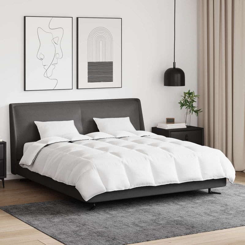 vidaXL Winterbettdecke mit Kissen 3 pcs Weiß Down Feather