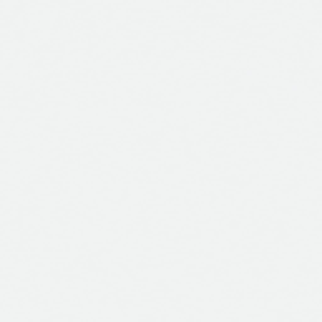 vidaXL Sideboard Weiß 60x30x70 cm Massivholz Kiefer und Natur-Rattan