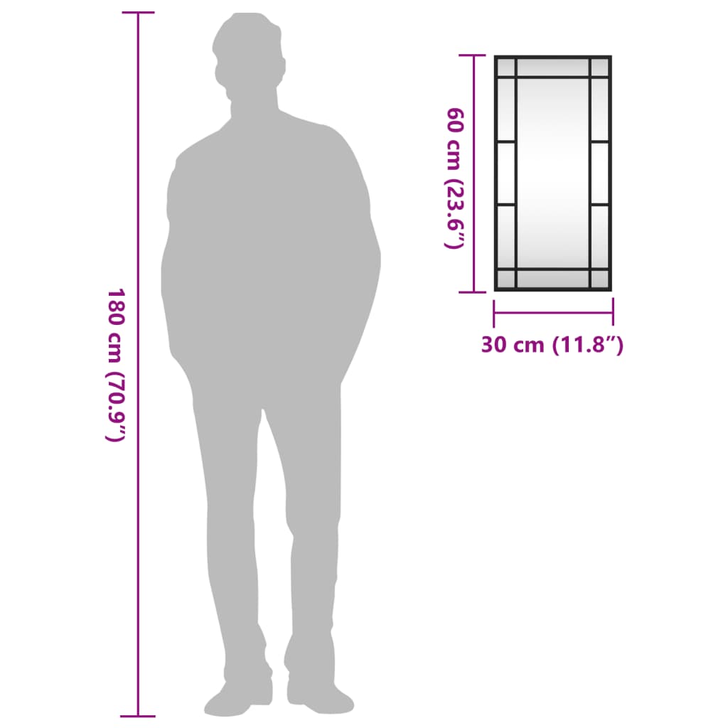 vidaXL Wandspiegel Schwarz 30x60 cm Rechteckig Eisen