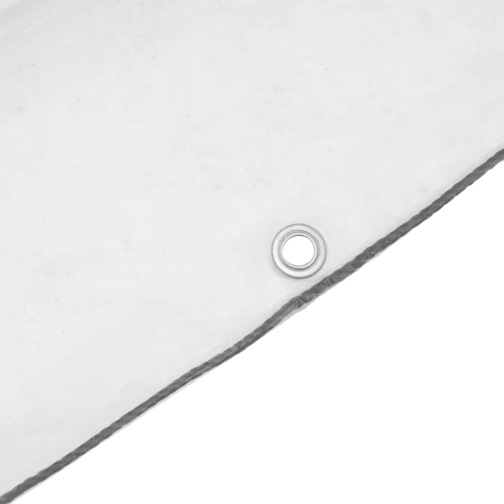 vidaXL Transparente Plane mit Ösen 1x2 m Polyethylen