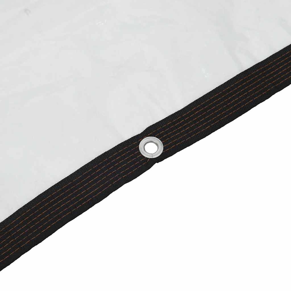 vidaXL Klare Plane mit Ösen 2x2 m Polyethylen