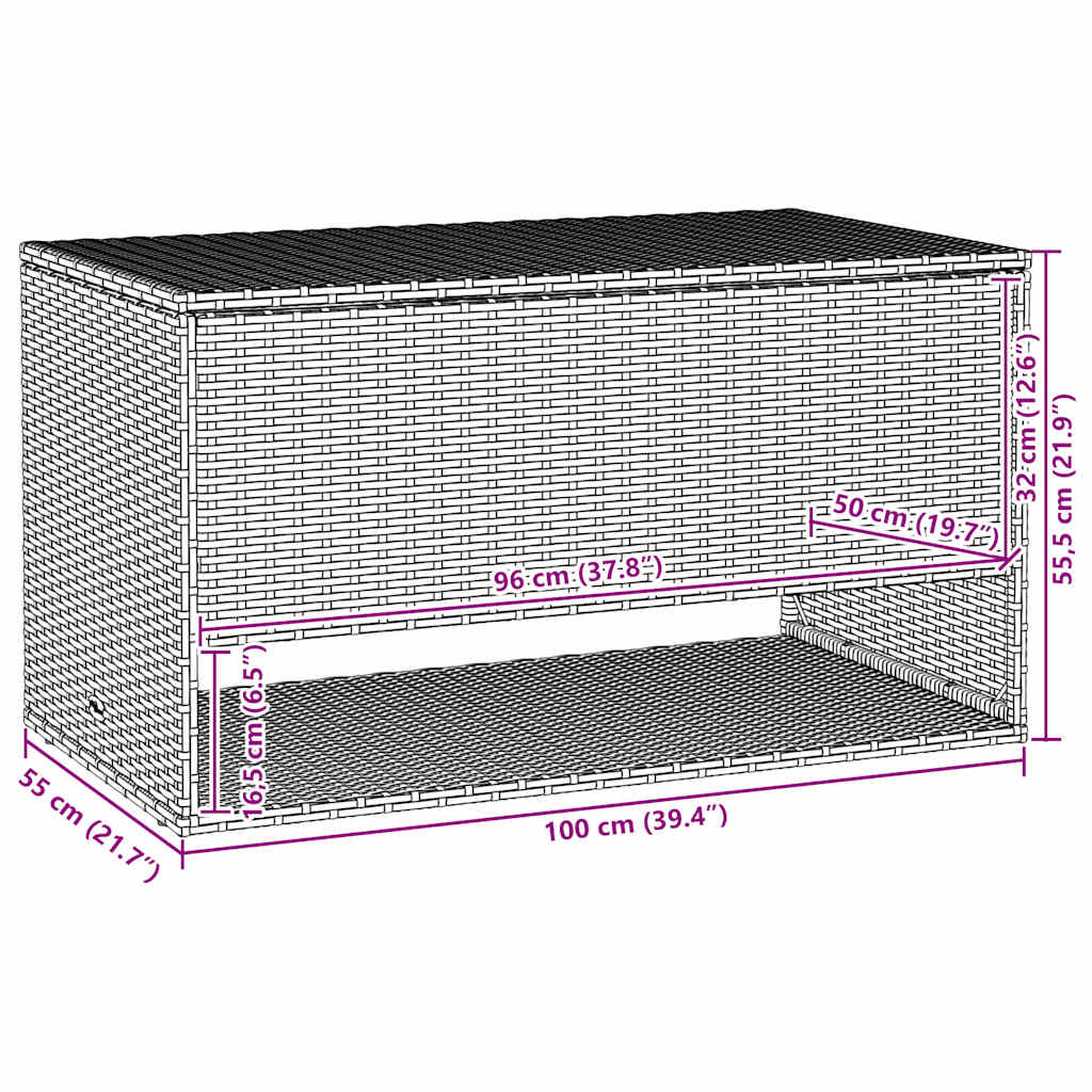 vidaXL Outdoor-Kissenbox Schwarz 100x55x55,5 cm Poly Rattan