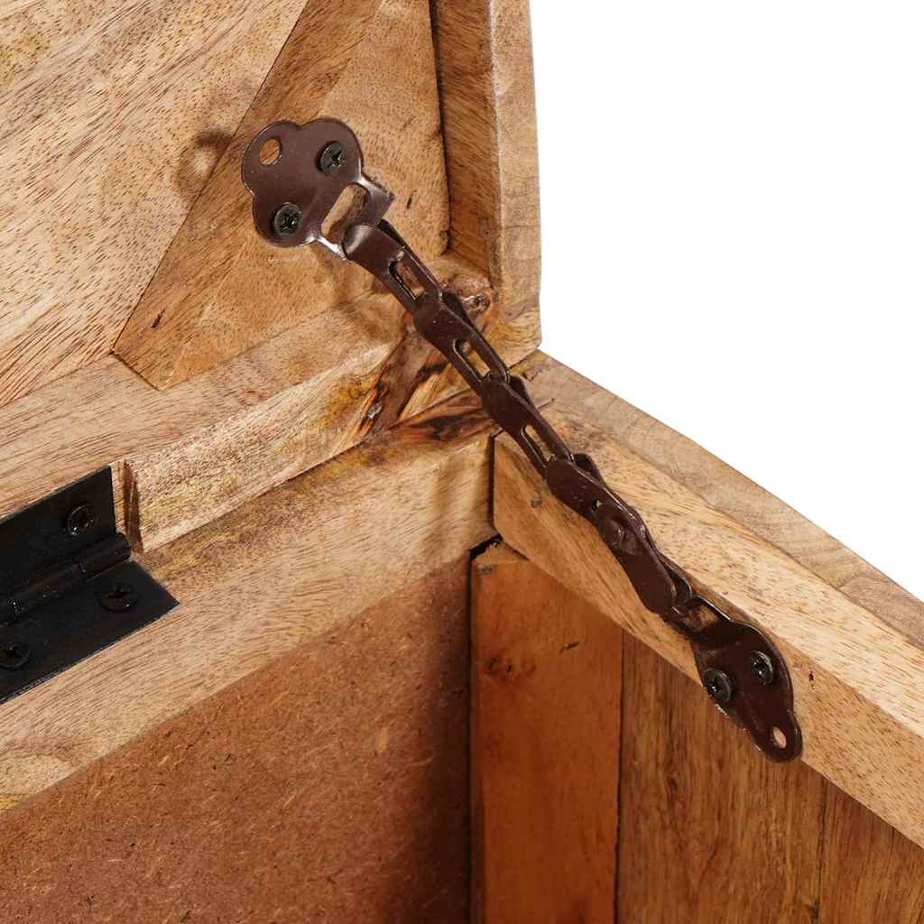 vidaXL Aufbewahrungsbox mit Speicher mit Tür Braun Massivholz Mango