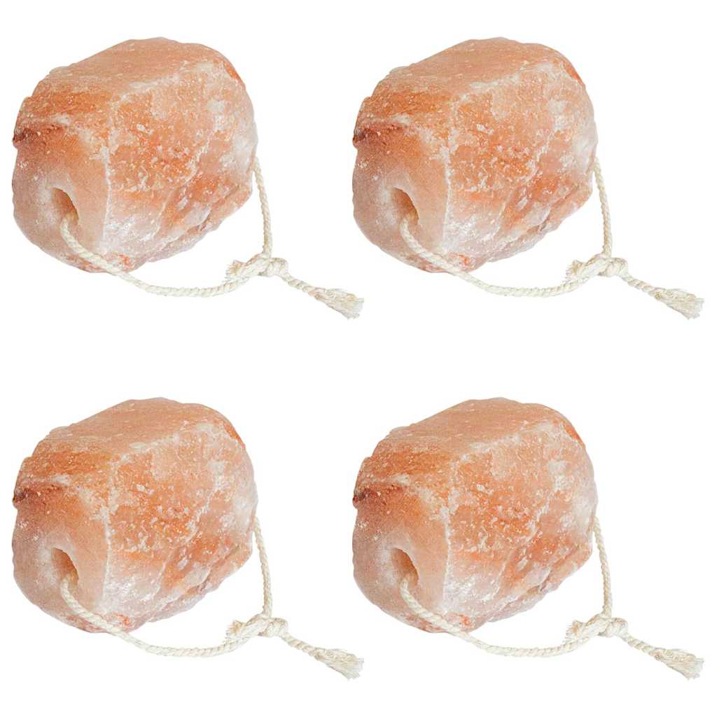 vidaXL Salzlecksteine Rosa Steinsalz