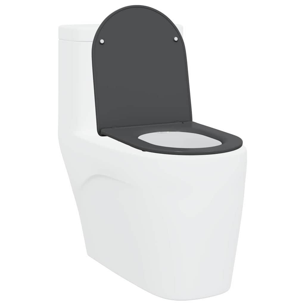 vidaXL Toilettensitz Anthrazit 44 x 36,4 x 3,4 cm Duroplast