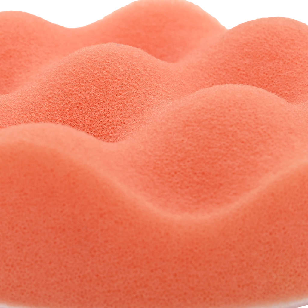 vidaXL Auto Bürsten Set Mehrfarbig Poly-Rattan