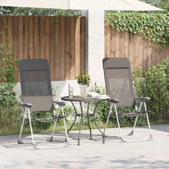 vidaXL Klappbare Campingstühle 2 Stk. Grau Aluminium