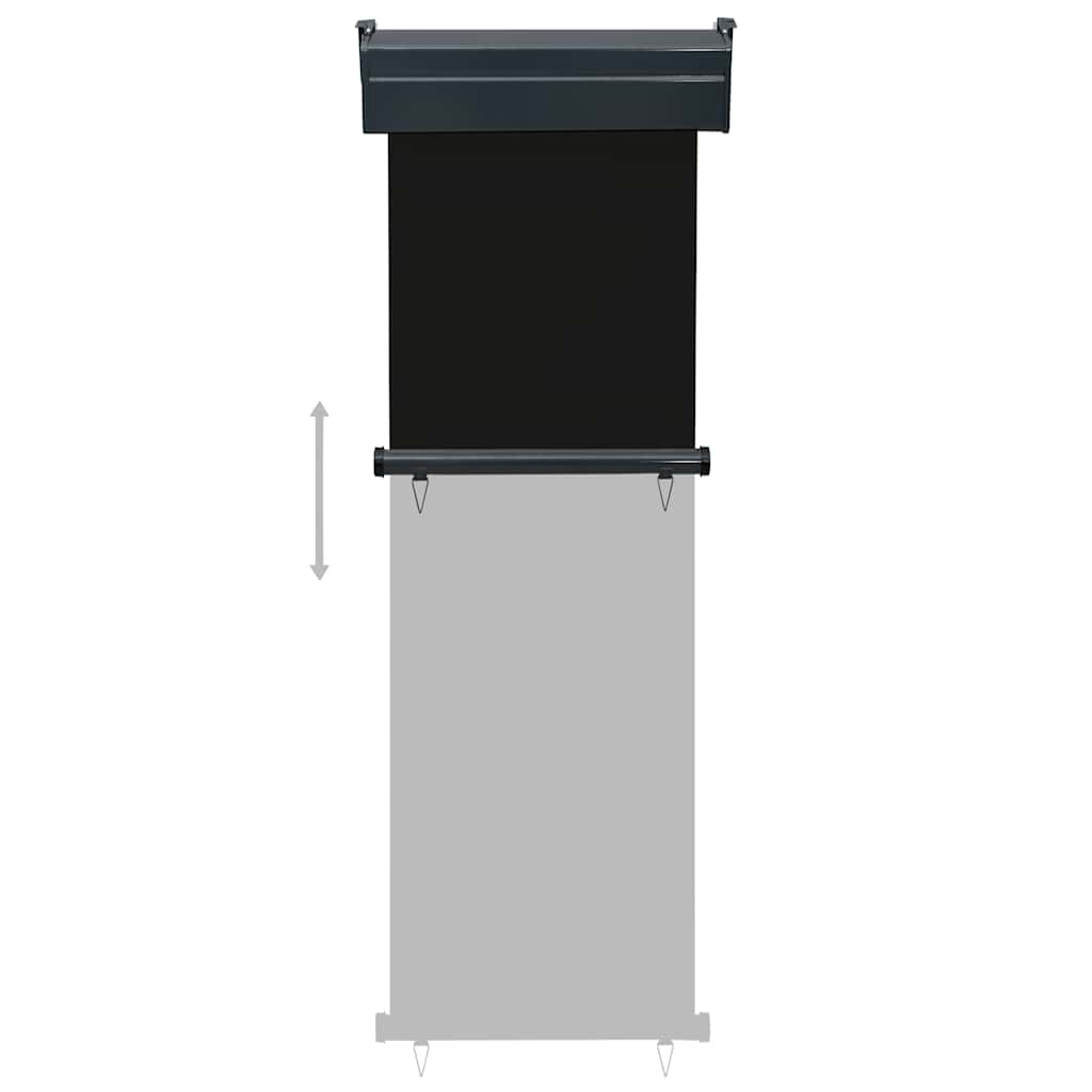 vidaXL Balkon-Seitenmarkise 65x250 cm Schwarz