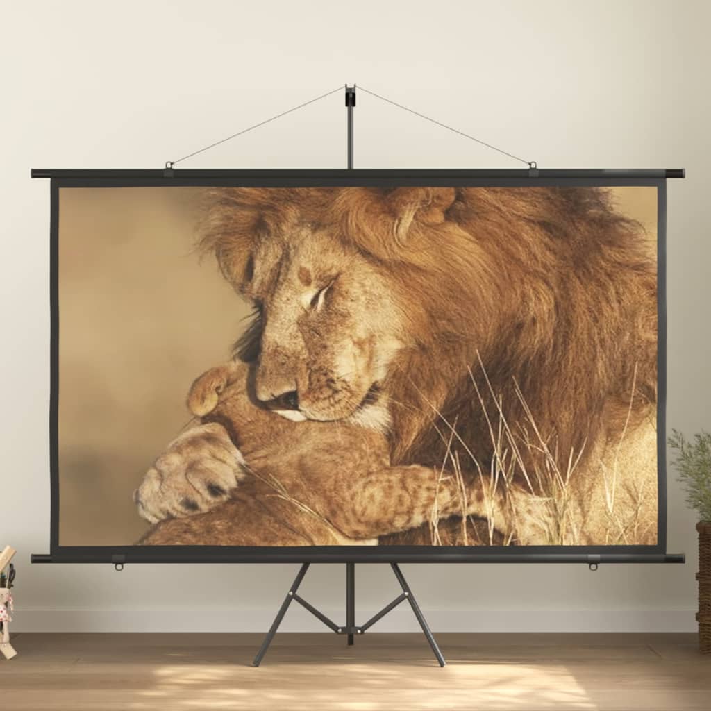 vidaXL Beamer Leinwand 50" 4:3