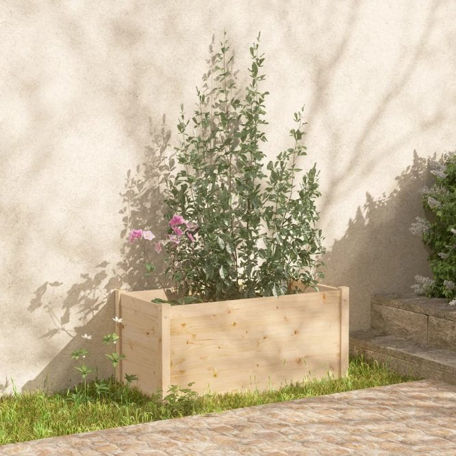 Pflanzkübel 100x50x50 cm Massivholz Kiefer